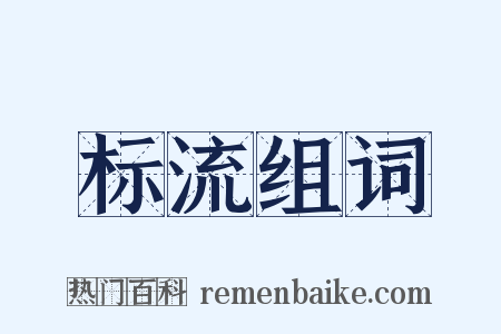 标流组词是什么意思的图片